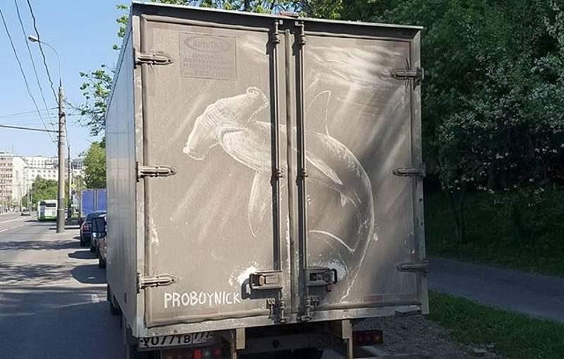 Акула молот на грузовике